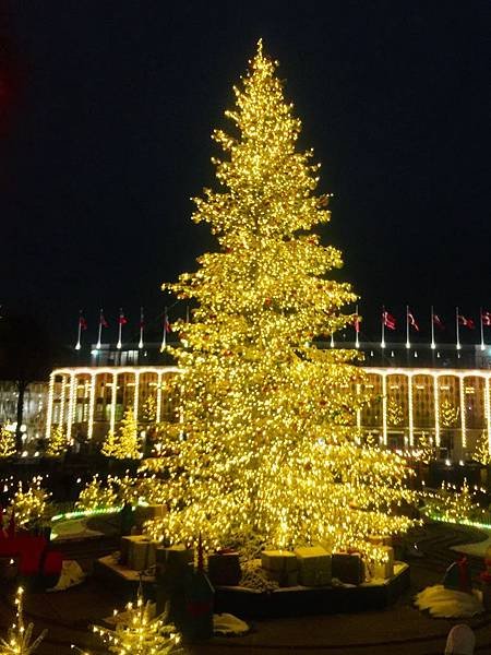 2019-11-15 17.44.27-1.jpg