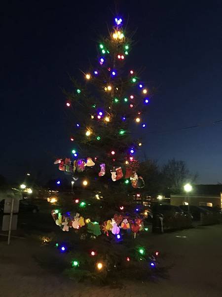 2019-12-08 16.34.01.jpg