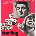 1965 Darling.jpg