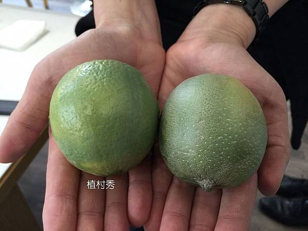 植村秀花瓣肌.jpg