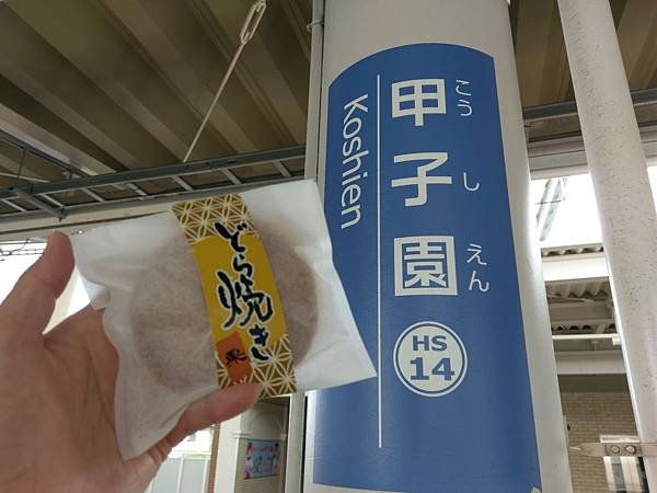 IMAG8484.jpg