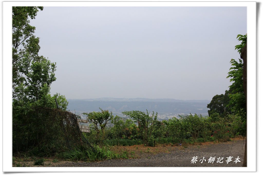 P25.jpg