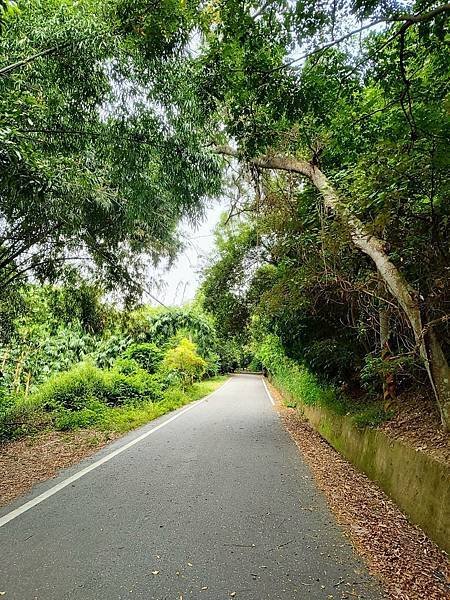 [彰化] 花壇白沙坑虎山巖/大嶺巷步道/老夫子牛排