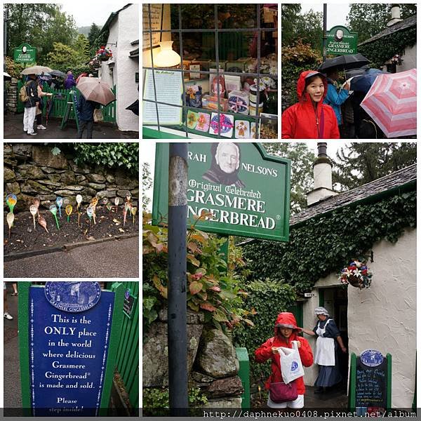 collage1