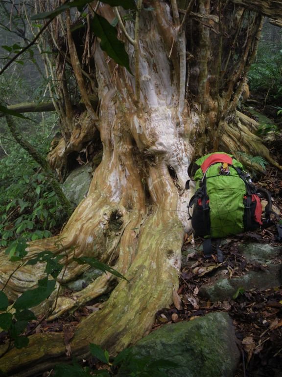 霍俄索溪溯登新望嶺_0189_2011-3-24 上午 08-34-26.JPG