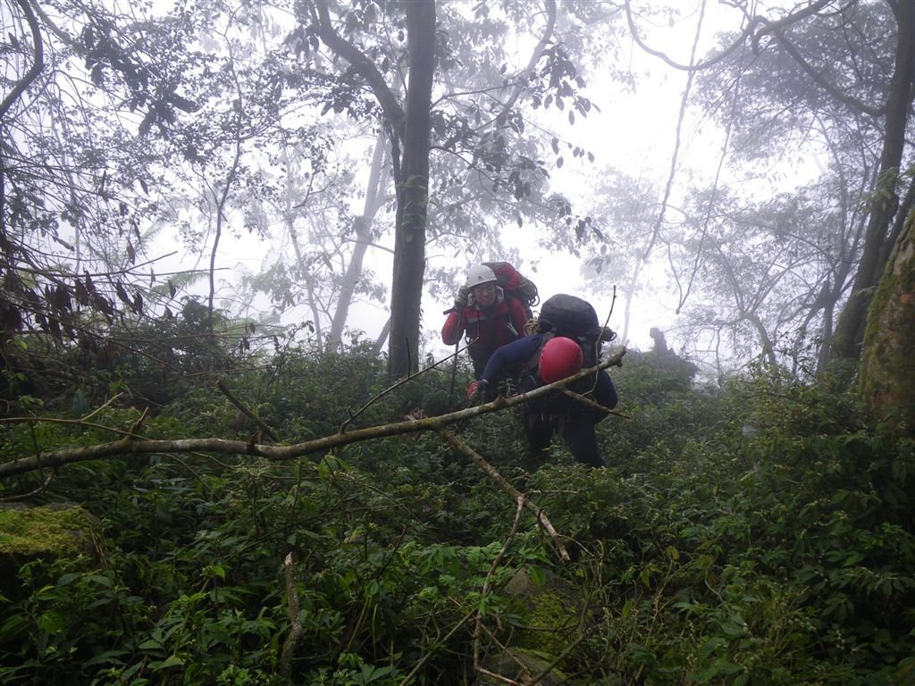 霍俄索溪溯登新望嶺_0238_2011-3-24 下午 01-44-07.JPG