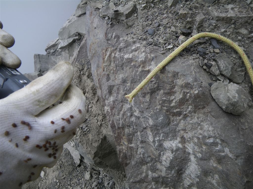 霍俄索溪溯登新望嶺_0223_2011-3-24 上午 11-57-19.JPG