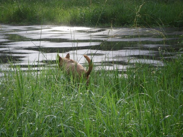 2009-06-16 17-19-20_首映記者繪_0101.JPG