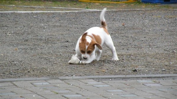 DSCN2134.JPG