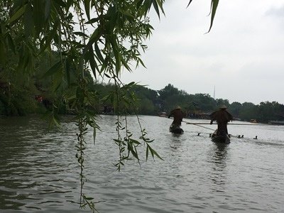 123IMG_7134.jpg