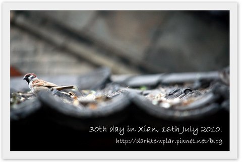 1007 30th day in Xian.jpg