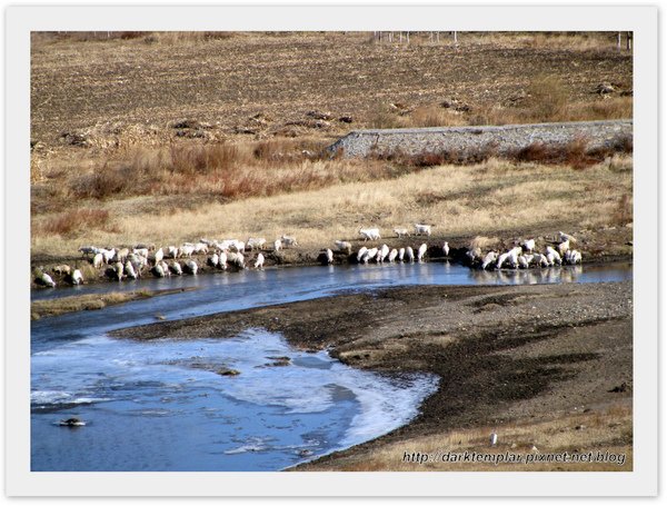 Inner Mongolia (18).jpg