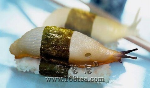 蛞蝓.jpg
