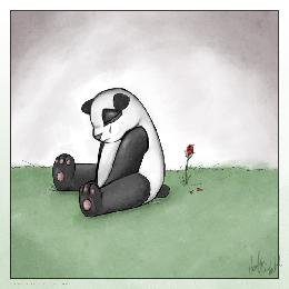 sadpanda.jpg