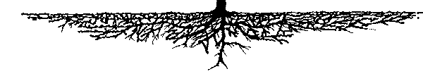 樹狀圖.gif