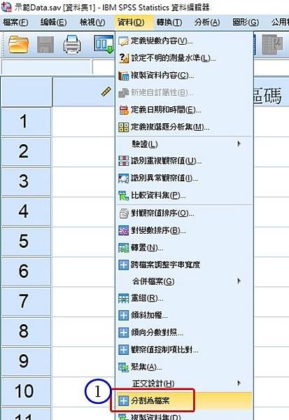 使用SPSS分割並儲存為檔案