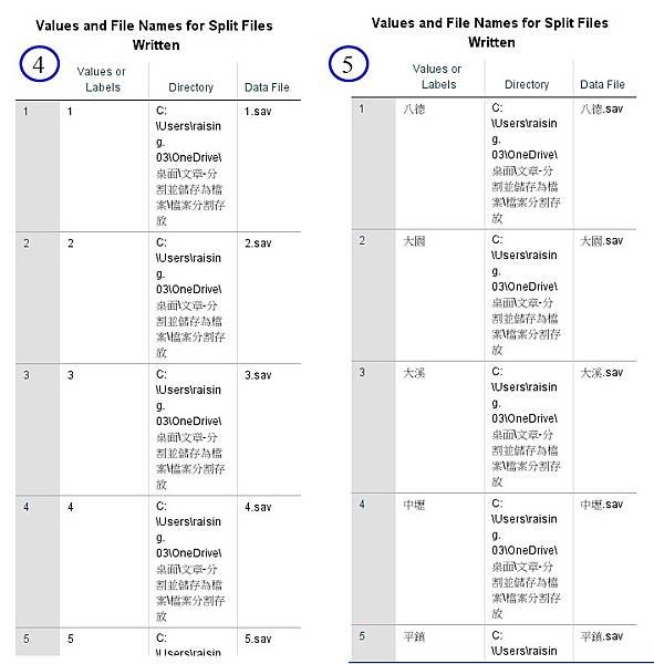 使用SPSS分割並儲存為檔案