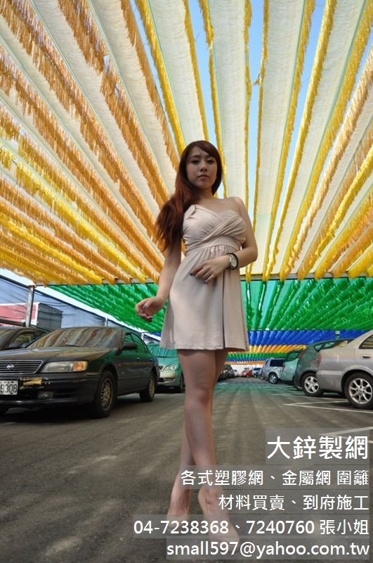 防蟲網袋不銹鋼防蟲網蔬菜防蟲網大鋅製網