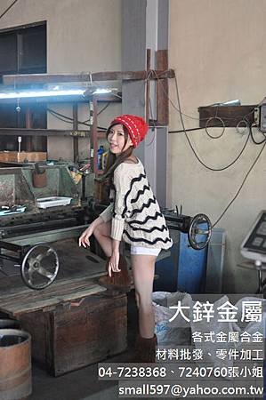  遮光網,遮陽網,園藝遮光網,遮光網diy,屋頂遮陽網架設,大鋅製網!!