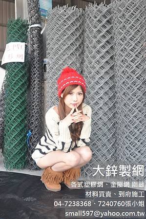 鋼線網鋼線網鋼線網鋼線網鋼線網鋼線網鋼線網大鋅製網