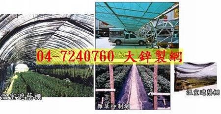 雜草抑制蓆,雜草抑制蓆哪裡買,,大鋅製網