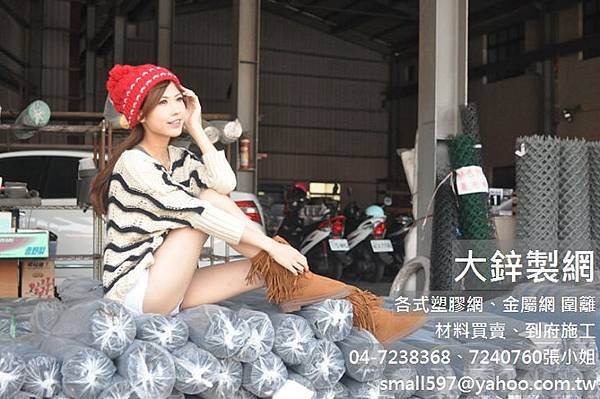 防塵網,施工架防塵網規定,防塵網價格,大鋅製網