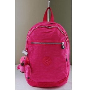 bag41 (1).png
