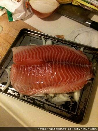 IMG_2765.jpg