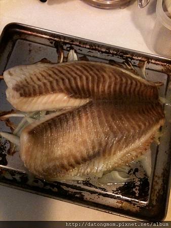 IMG_2766.jpg