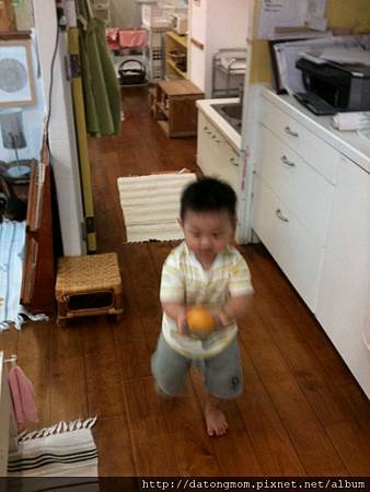 IMG_2986.jpg