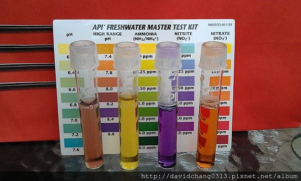 水質量測20150304-1.jpg