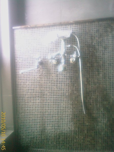 IMAG0181.jpg