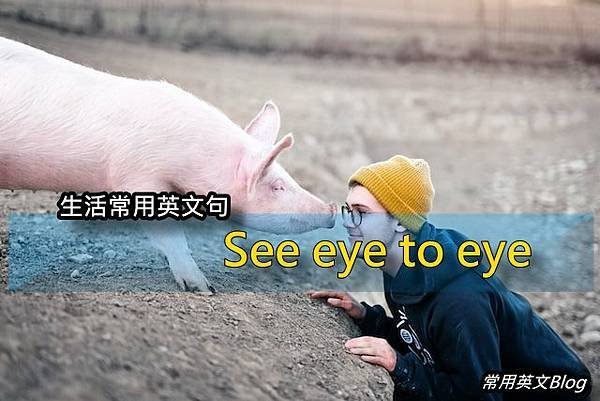 &quot;See eye to eye&quot;中文意思