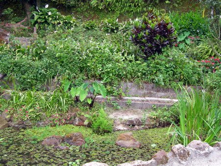 DSCN4524s.jpg