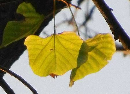 DSCN3943s