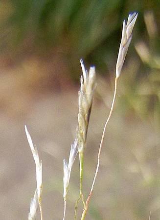 DSCN9031s