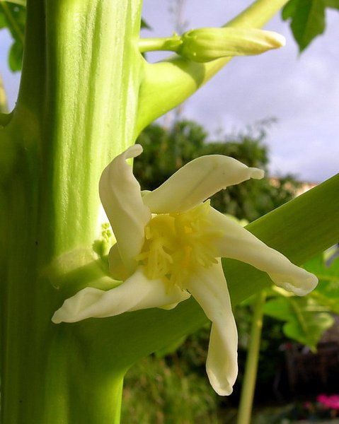 DSCN8754.jpg