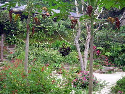 DSCN4541s.jpg