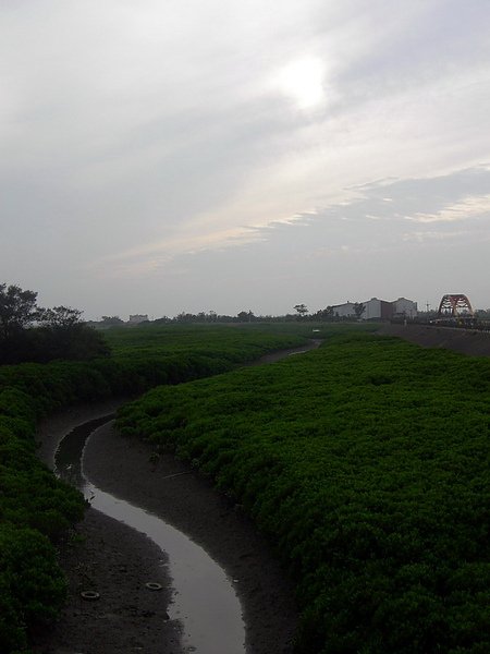 DSCN4687s.jpg