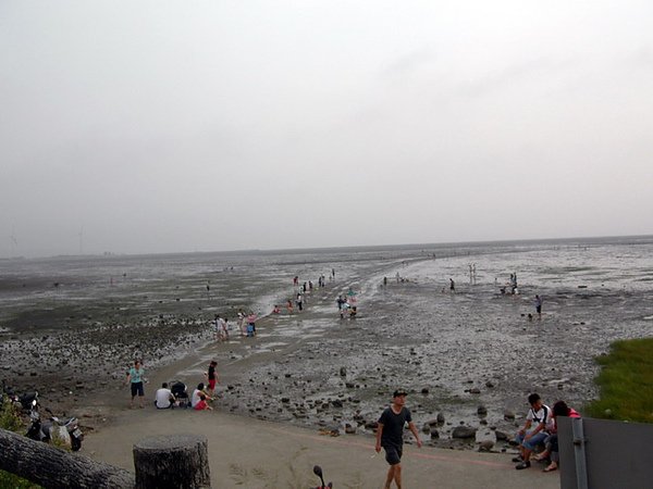 DSCN4731s.jpg