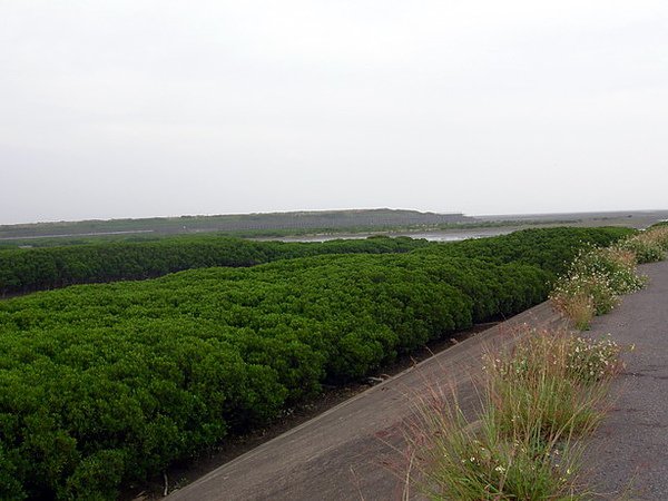 DSCN4677s.jpg