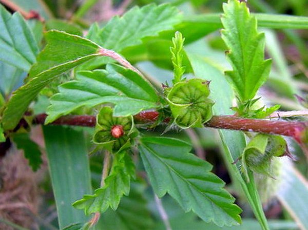 DSCN4370s.jpg