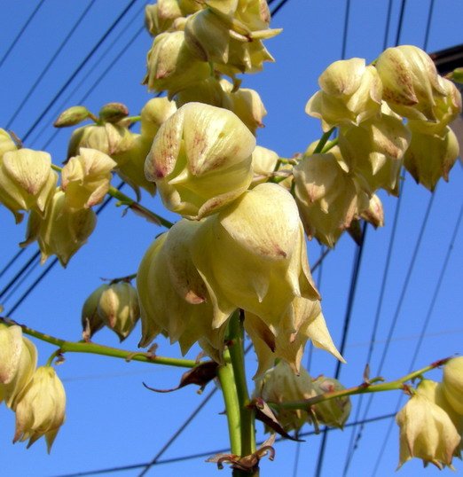 DSCN3073s.jpg