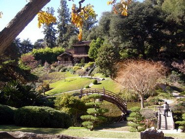 japan gardens.jpg