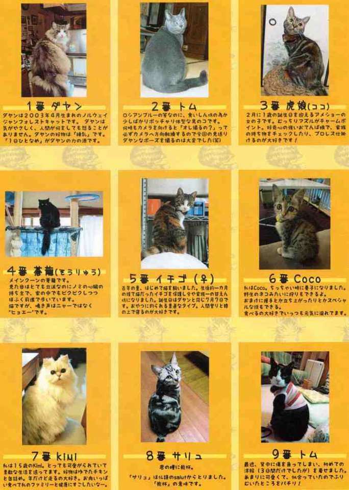 貓議長.jpg