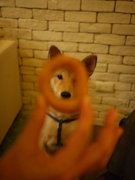 阿旺.jpg