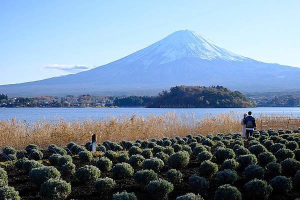 東京六日家族旅遊