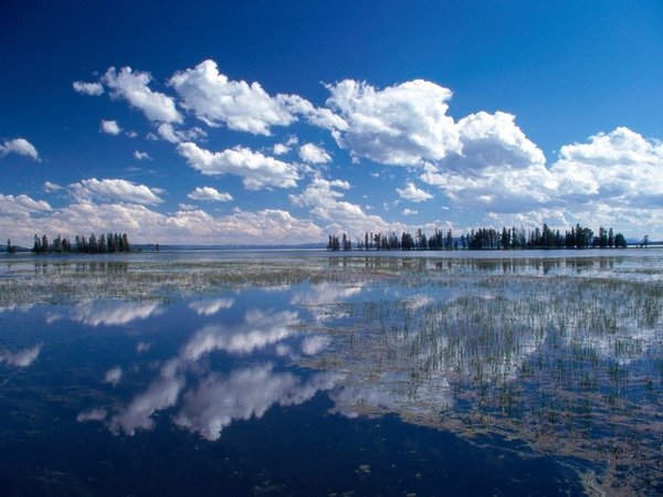 Yellowstone%20Lake,%20Yellowstone%20National%20Park,%20Wyo.jpg