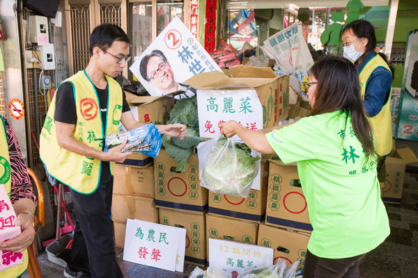 選舉不忘關心弱勢農民 林世賢進500顆高麗菜義賣6.png