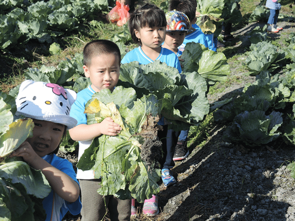 二水鄉農會義賣高麗菜 呼籲多多買菜救救農民1.png